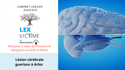 lesion-cerebrale-guerison-a-arle.png