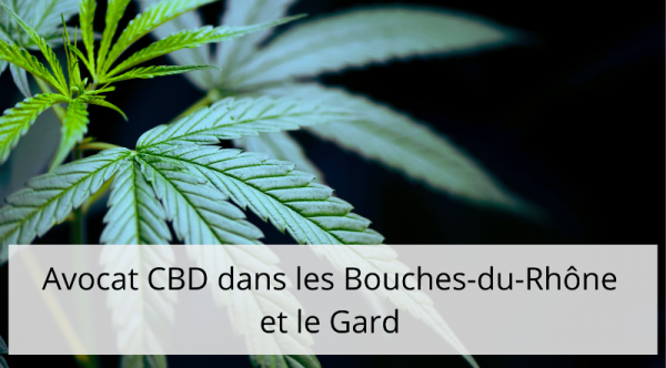 cbd-controle-de-police_-1-.png
