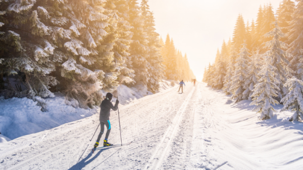 enneigement-le-sauze-comment-se-faire-indemniser-suite-a-un-accident-de-ski--2-.png