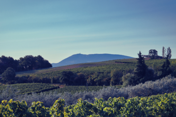 Lamanon Provence et agriculture
