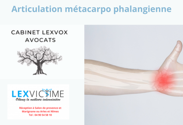 articulation-metacarpo-phalangienne.png