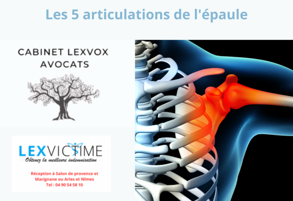 les-5-articulations-de-l-epaule.png