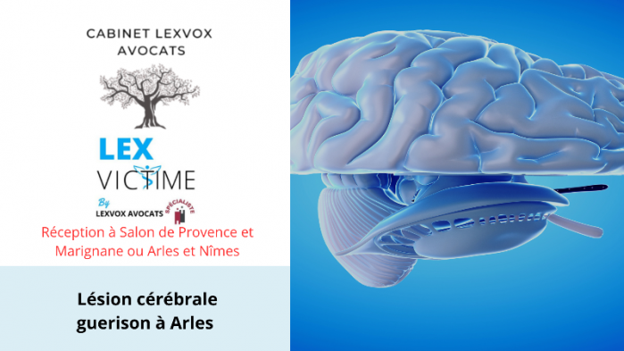 lesion-cerebrale-guerison-a-arle.png
