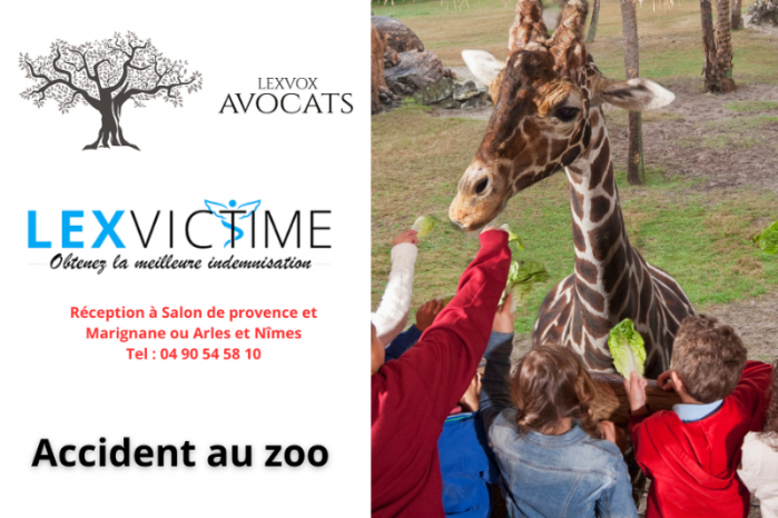 Préjudice accident zoo