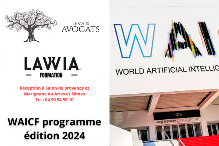 WAICF programme 2024