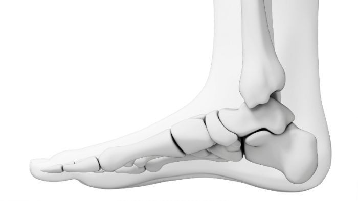 os-pied-1--1.png os-pied-1--1.png