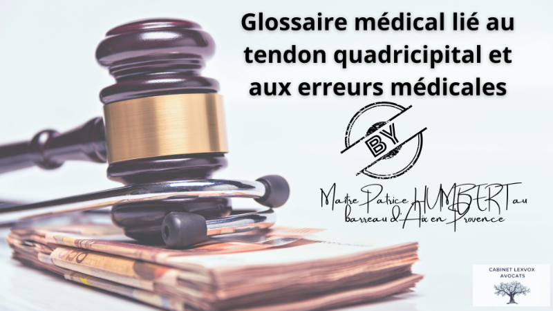 Glossaire tendon quadricipital