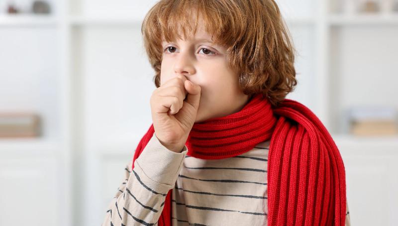 1--1--1.jpg 1--1--1.jpg