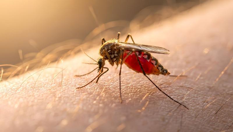 1--7--1.jpg 1--7--1.jpg