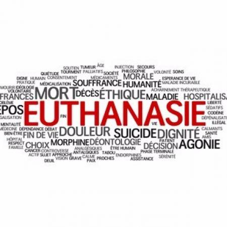 Les patients face à la fin de vie et à l'euthanasie : entre insuffisance législative et nécessité d’évolution