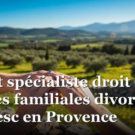 Avocat spécialiste droit des affaires familiales divorce à Lambesc en Provence Avocat spécialiste droit des affaires familiales divorce à Lambesc en Provence