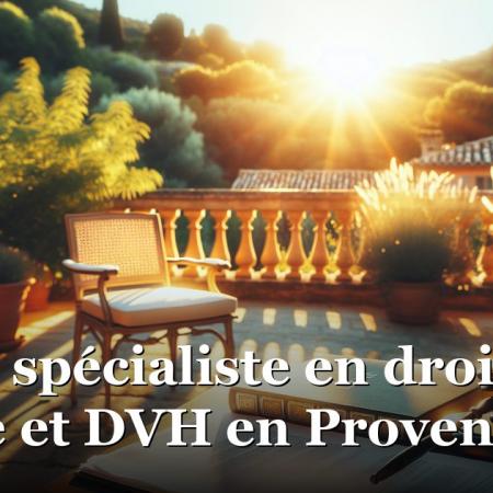 Avocat spécialiste en droit de la famille et DVH en Provence Avocat spécialiste en droit de la famille et DVH en Provence
