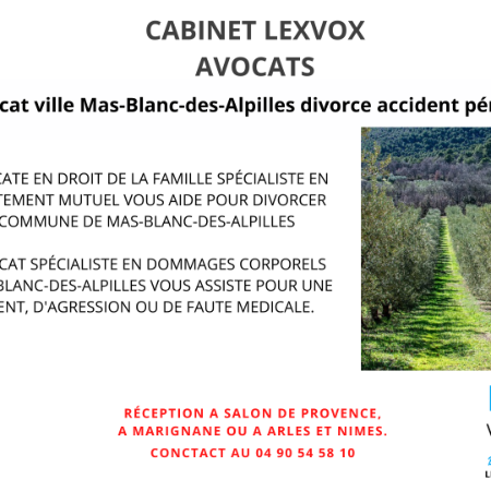 Avocat ville Mas-Blanc-des-Alpilles divorce accident pénal