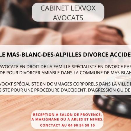 Avocat ville Mas-Blanc-des-Alpilles divorce accident pénal