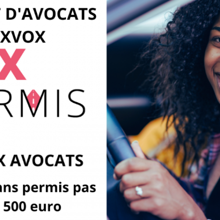 Voiture sans permis pas cher 500 euro